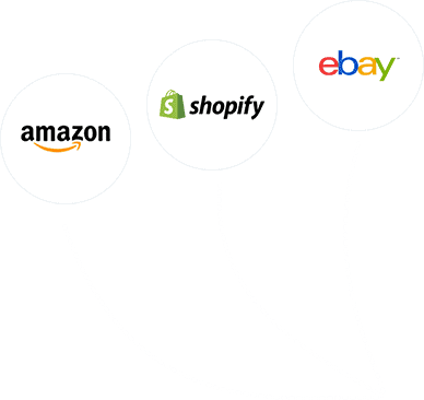 Amazon Shopify Ebay