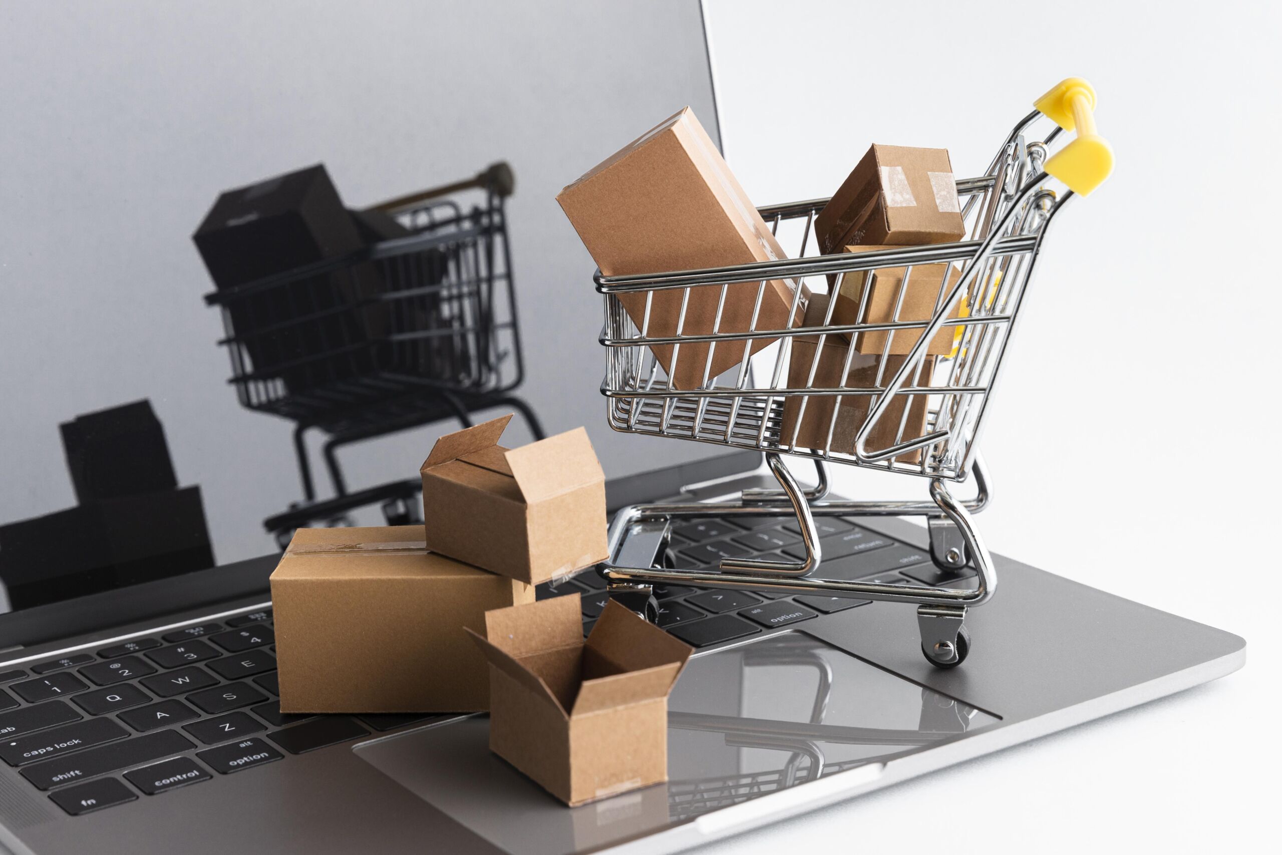 The Future of eCommerce: Thriving in a Multichannel Landscape